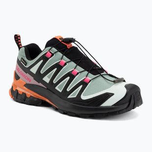 Кросівки для бігу жіночі Salomon XA Pro 3D V9 GTX Icon black/green milieu