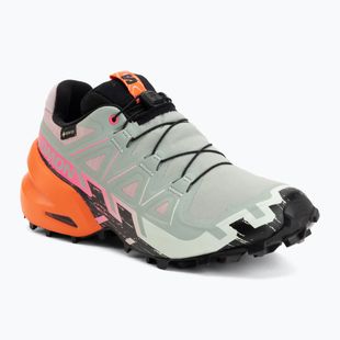 Кросівки для бігу жіночі Salomon Speedcross 6 GTX Icon black/green milieu