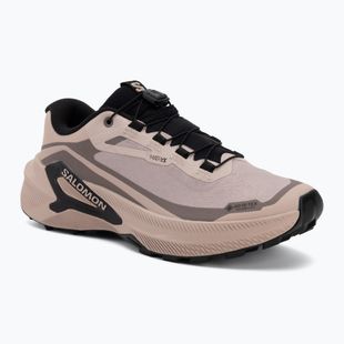 Кросівки для бігу жіночі Salomon Genesis 2 GTX shadow gray/iron