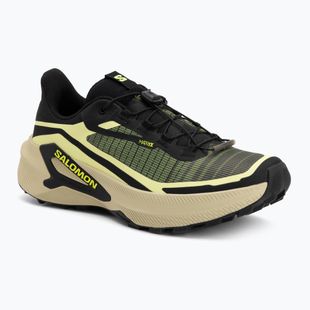 Кросівки для бігу чоловічі Salomon Genesis 2 sunny lime/black