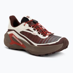 Кросівки для бігу чоловічі Salomon Genesis 2 vanilla ice/iron