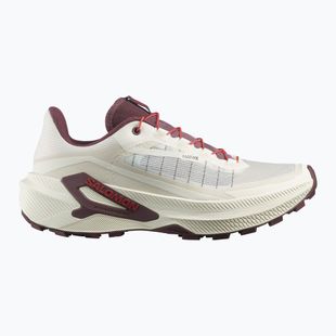 Кросівки для бігу жіночі Salomon Genesis 2 vanilla ice/huckleberry