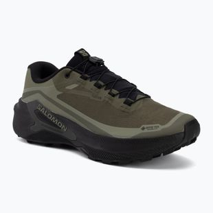 Кросівки для бігу чоловічі Salomon Genesis 2 GTX grape leaf/black