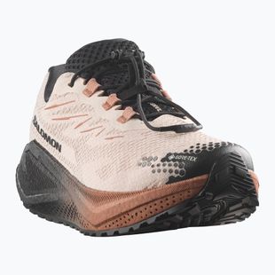Кросівки для бігу жіночі Salomon Aero Blaze 4 GRVL GTX vanilla ice/black