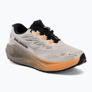 Кросівки для бігу жіночі Salomon Aero Blaze 4 GRVL GTX rainy day/black