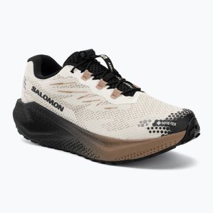 Кросівки для бігу чоловічі Salomon Aero Blaze 4 GRVL GTX vanilla ice/black