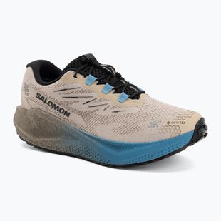 Кросівки для бігу чоловічі Salomon Aero Blaze 4 GRVL GTX oxford tan/black