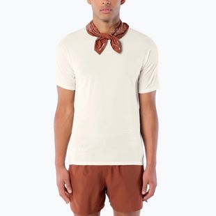 Футболка для бігу чоловіча Salomon Sense Aero GFX Tee SS whisper white/raind day/bright white