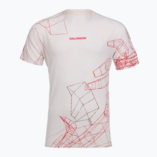 Футболка для бігу чоловіча Salomon S\Lab Speed Tee SS lilac ash
