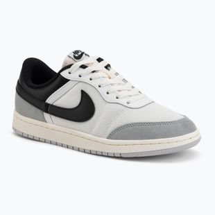 Жіноче взуття Air Jordan Skyline Low summit white/light smoke grey/sail/black