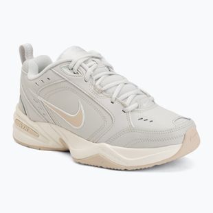Кросівки для тренувань чоловічі Nike Air Monarch IV light bone/spruce aura/sanddrift