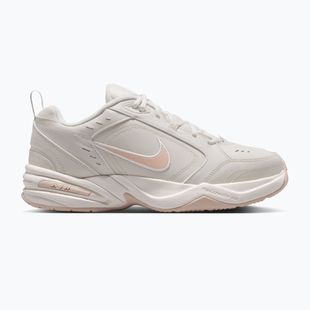 Кросівки для тренувань чоловічі Nike Air Monarch IV light bone/spruce aura/sanddrift