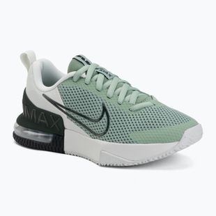 Кросівки для тренувань чоловічі Nike Air Max Alpha Trainer 6 steam/spruce aura/off white/black spruce