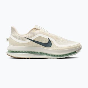Кросівки для бігу чоловічі Nike Pegasus Premium Pale ivory/jade horizon/black spruce