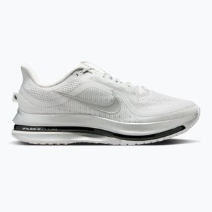 Кросівки для бігу чоловічі Nike Pegasus Premium photon dust/metallic Silver/black
