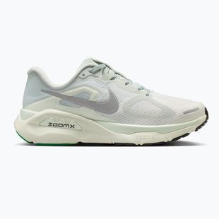 Кросівки для бігу жіночі Nike Structure Plus light silver/metallic silver