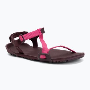 Сандалі barefoot жіночі Xero Shoes Z-Trail EV fuchsia purple