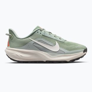 Кросівки для бігу жіночі Nike ACG Pegasus Trail jade horizon/light silver/phantom