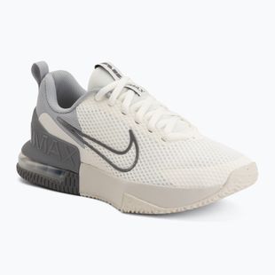 Кросівки для тренувань чоловічі Nike Air Max Alpha Trainer 6 sail/light smoke grey/phantom/pencil point