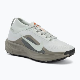Кросівки для бігу чоловічі Nike ACG Pegasus Trail GORE-TEX Light Silver/Light Army/Light Silver