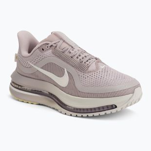 Кросівки для бігу жіночі Nike Pegasus Premium particle rose/silver lilac/sail