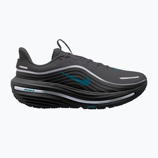 Кросівки для бігу чоловічі Nike Winflo 12 GORE-TEX anthracite/black/bright spruce