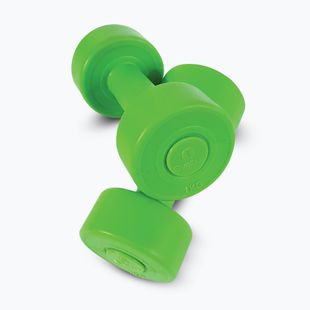 Набір гантелей 1 кг Sveltus Cement Dumbbell 2 pcs green