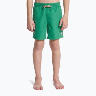 Шорти для плавання дитячі Quiksilver Everyday Volley 14" leprechaun
