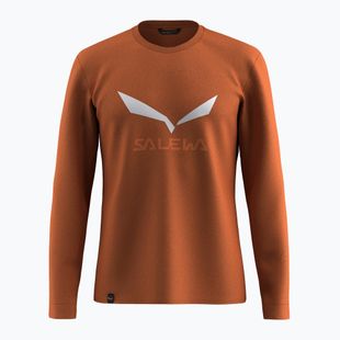 Лонгслів чоловічий Salewa Solidlogo Dry bombay brown