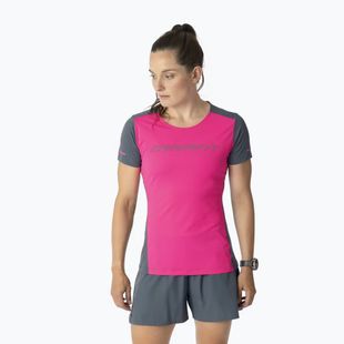 Футболка для бігу жіноча DYNAFIT Alpine 2 Tee pink glo