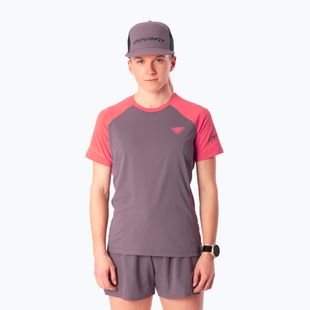 Футболка для бігу жіноча Dynafit Alpine Pro SS Tee cabana/6A90