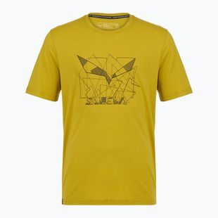 Футболка чоловіча Salewa Eagle Geometric olive oil