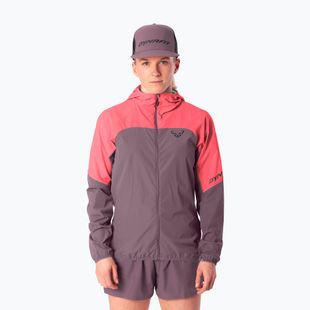 Куртка для бігу жіноча DYNAFIT Alpine Wind cabana ephemera/6a90