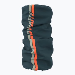 Хустка багатофункційна Dynafit Graphic Neck Gaiter cinder/4880 stripes