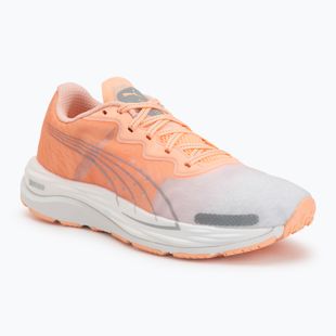 Кросівки для бігу жіночі Puma Velocity Nitro 2 melon/white/grey