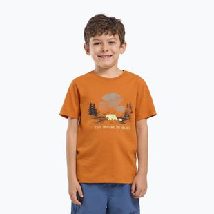Футболка дитяча Jack Wolfskin Graphic Cotton T print soft amber