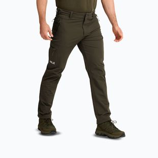 Штани трекінгові чоловічі Jack Wolfskin Activate Flex obsidian moss