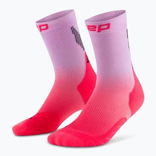Шкарпетки компресійні чоловічі CEP Run Edt. Gradient Mid Cut Compression 5.0 pink/lilac fade