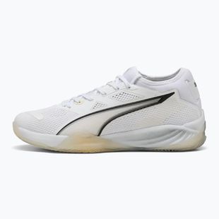 Кросівки гандбольні чоловічі PUMA Eliminate NITRO SQD 4 white