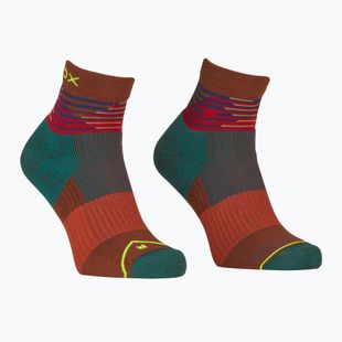 Шкарпетки чоловічі Ortovox All Mountain Quarter clay orange