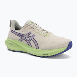Кросівки для бігу чоловічі ASICS GT-2000 13 TR nature bathing/lime green