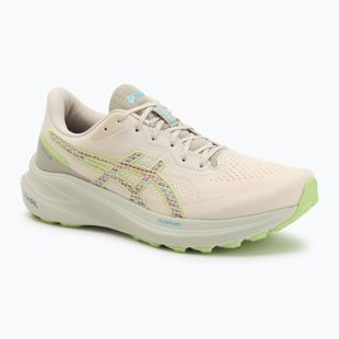 Кросівки для бігу чоловічі ASICS GT-1000 13 TR nature bathing/lime green