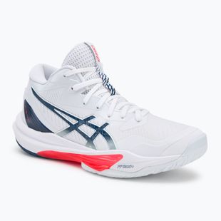 Кросівки чоловічі ASICS Sky Elite FF MT 3 white/mako blue