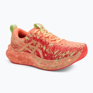 Кросівки для бігу жіночі ASICS Noosa Tri 16 huddle orange glow/flash red