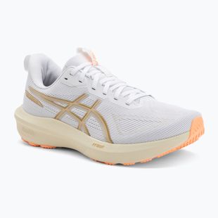 Кросівки для бігу чоловічі ASICS GT-1000 14 white/lemongrass