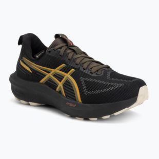 Кросівки для бігу чоловічі ASICS GT-1000 14 GTX black/sandstorm