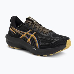 Кросівки для бігу чоловічі ASICS GT-1000 14 GTX black/dark cobalt