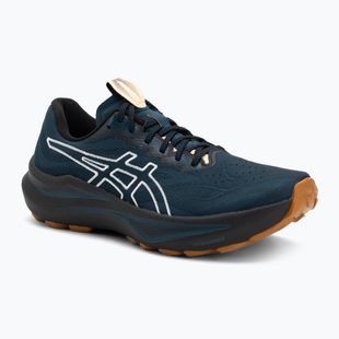 Кросівки для бігу чоловічі ASICS GT-2000 14 TR nature bathing/tranquil teal
