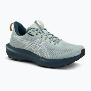 Кросівки для бігу meskie ASICS GT-1000 14 TR nature bathing/lichen rock