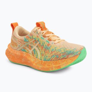 Кросівки для бігу жіночі Asics Noosa Tri 16 light orange/lemon spark